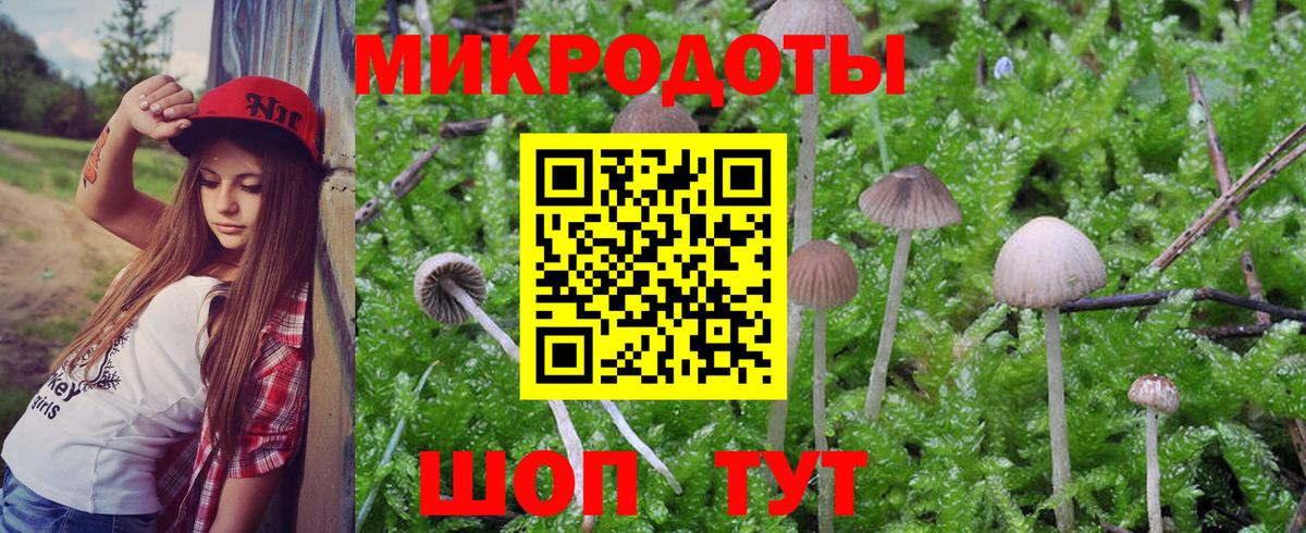 Галлюциногенные грибы мицелий Обь